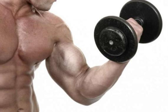 Почему после тренировки болят мышцы